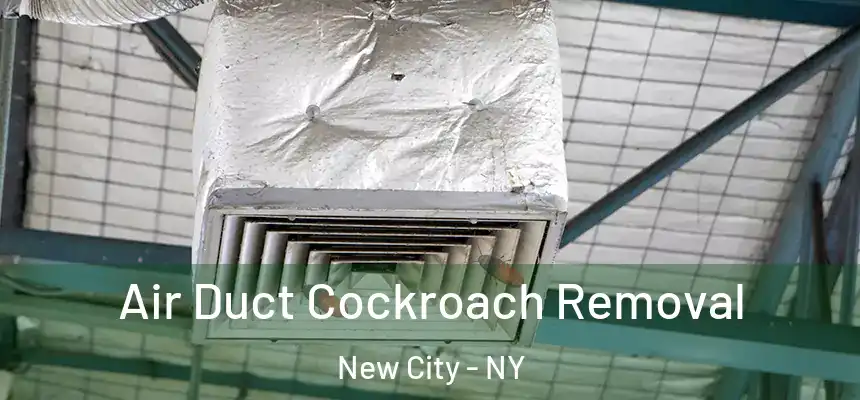  Air Duct Cockroach Removal New City - NY