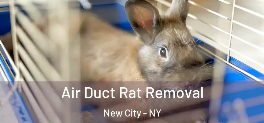  Air Duct Rat Removal New City - NY