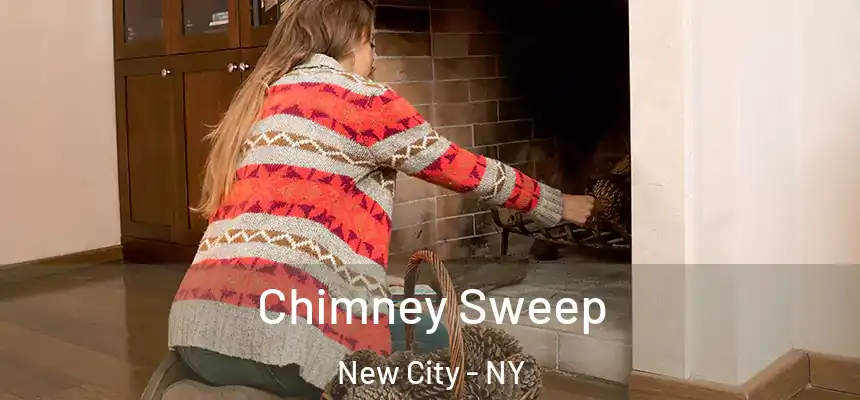 Chimney Sweep New City - NY