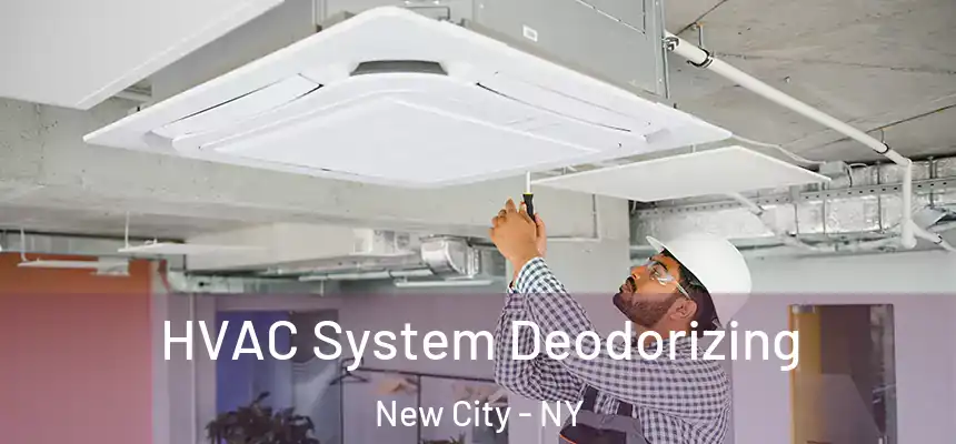 HVAC System Deodorizing New City - NY