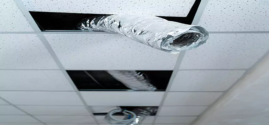 Affordable HVAC Sanitizing After Pest Removal in New City