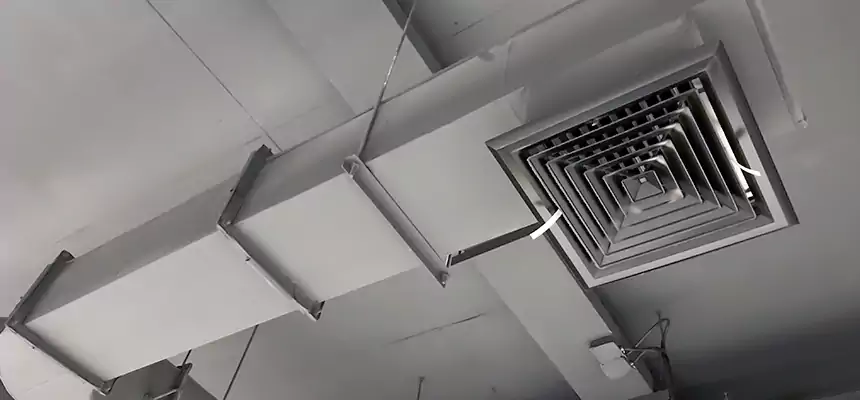 Our Pest Removal From Ducts Services in New City, NY