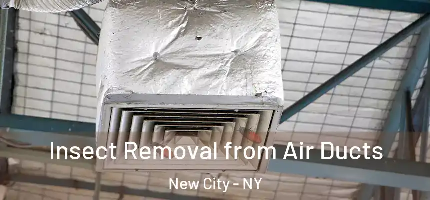 Insect Removal from Air Ducts New City - NY