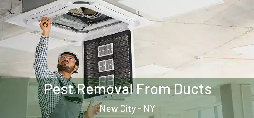  Pest Removal From Ducts New City - NY