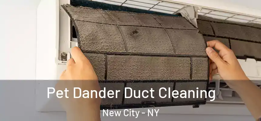 Pet Dander Duct Cleaning New City - NY